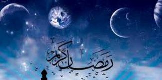 Miz Mostar Aktivnost