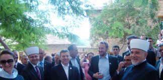 Miz Mostar Aktivnosti