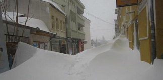 Miz Mostar Aktivnosti