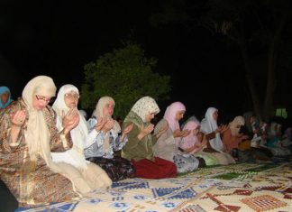 Miz Mostar Aktivnosti