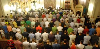 Miz Mostar Aktivnosti