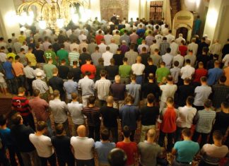 Miz Mostar Aktivnosti