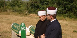 Miz Mostar Aktivnosti