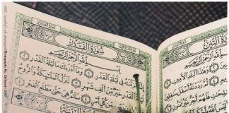 Miz Mostar Aktivnost