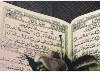 Miz Mostar Aktivnost