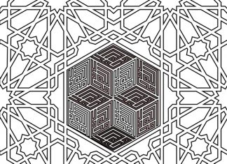 Miz Mostar Aktivnosti