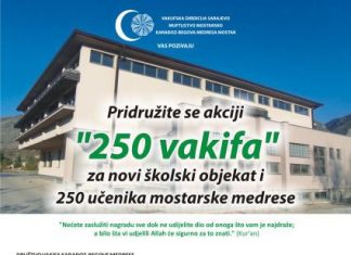 Miz Mostar Aktivnosti