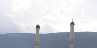 Miz Mostar Aktivnost