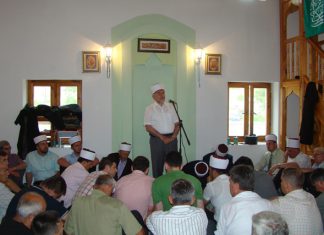 Miz Mostar Aktivnosti